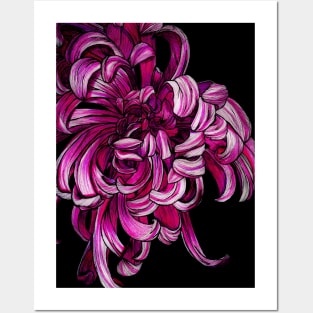 PEONY PINK Posters and Art